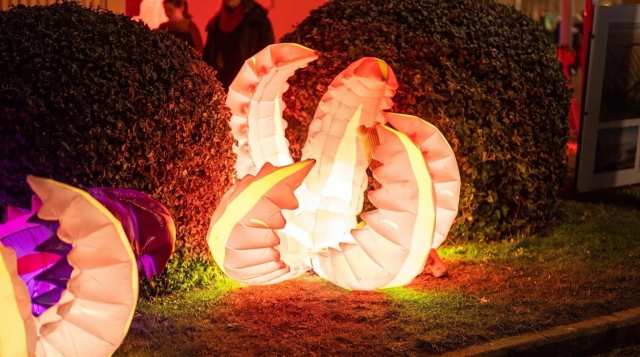 A Greytown Christmas Festival That Runs in July