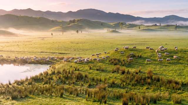 Where Is Greytown? An Hour Over the Remutaka Hill