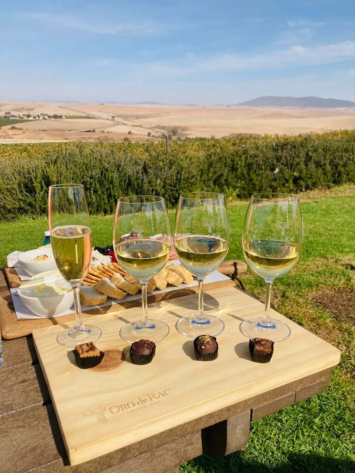 Org de Rac Organic Wine Estate — photo 2