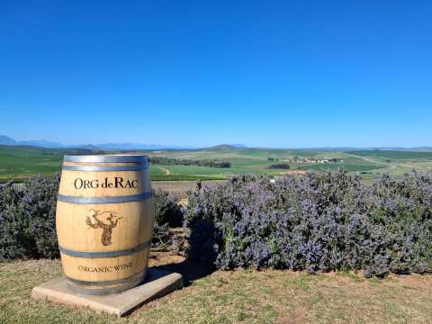 Org de Rac Organic Wine Estate — photo 3