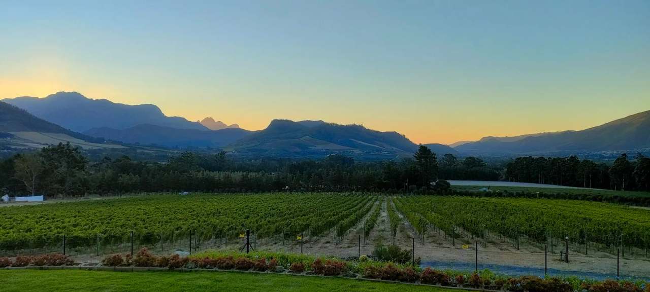 Wildeberg Wines — photo 2