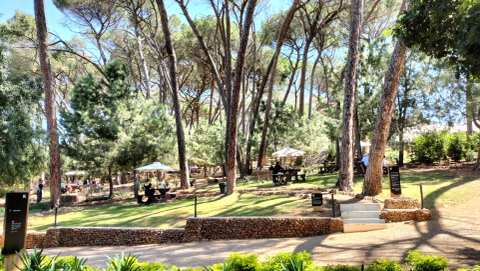 Kloovenburg Wine & Olive Estate — photo 2
