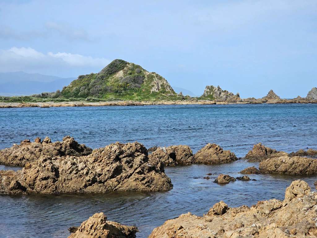 Island Bay Beach - Dog Exercise Area
