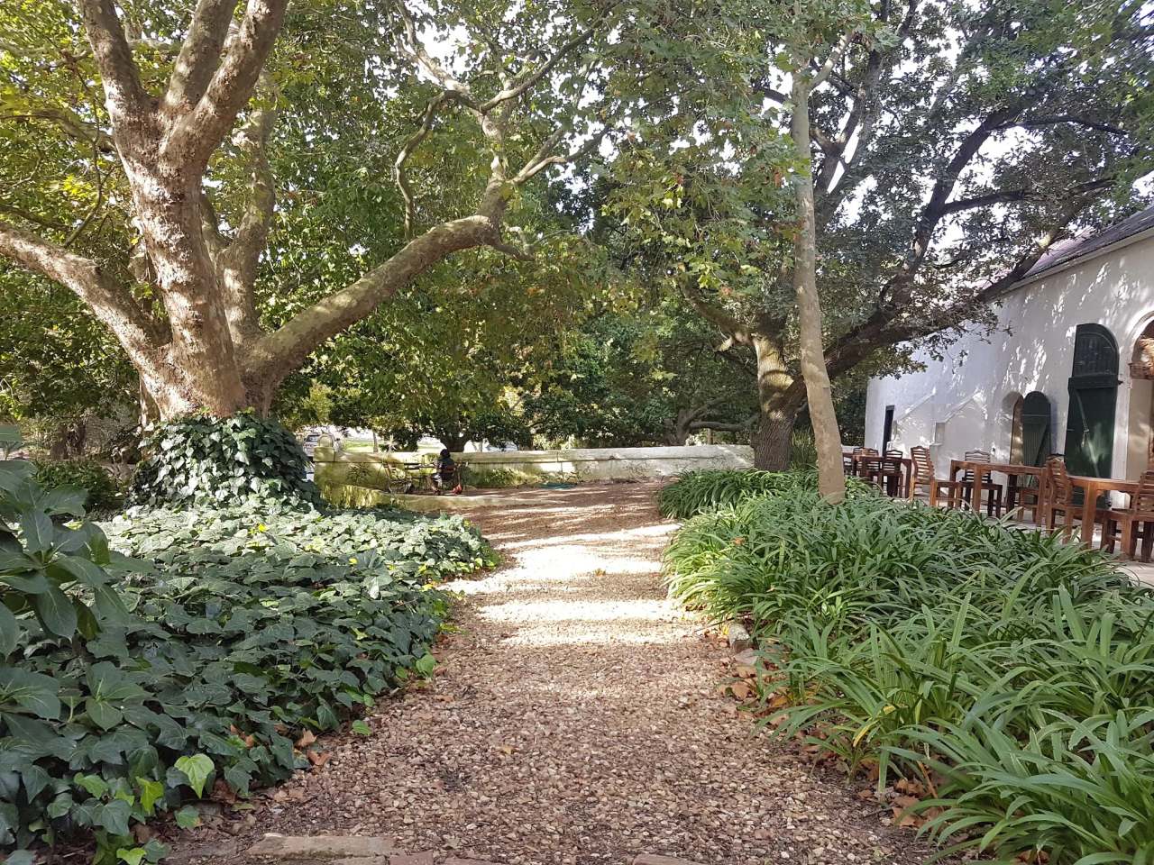 Mooiplaas Wine Estate and Private Nature Reserve — photo 2