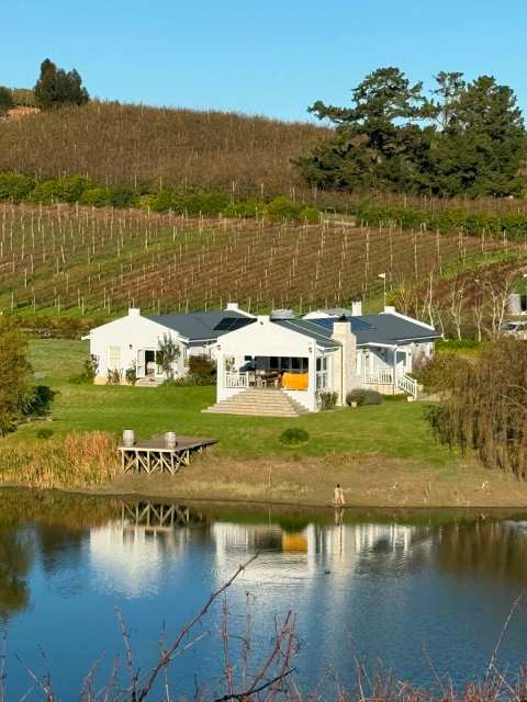 Paul Wallace Wines — photo 3