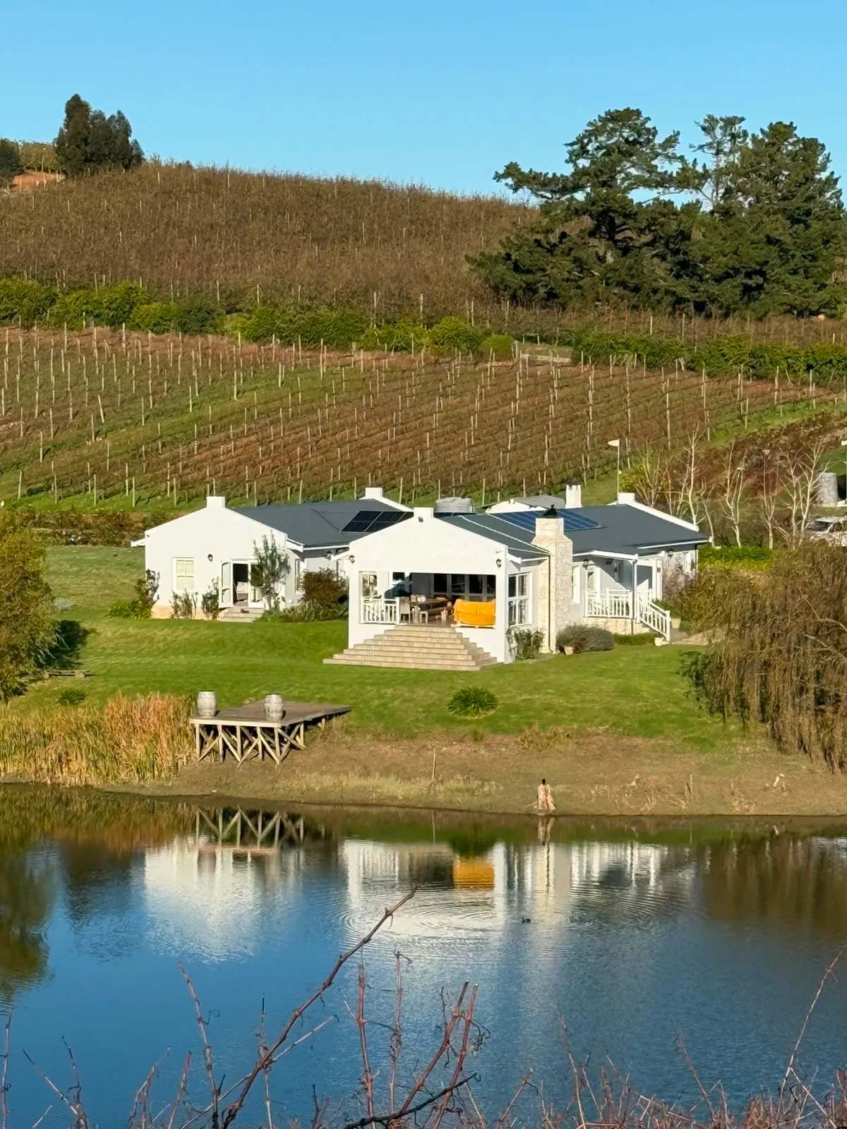 Paul Wallace Wines — photo 3