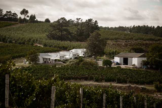 Paul Wallace Wines