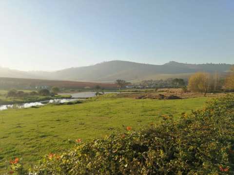 Mulderbosch Vineyards — photo 3