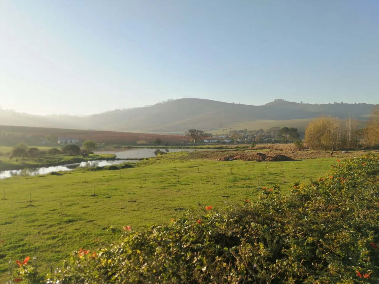 Mulderbosch Vineyards — photo 3