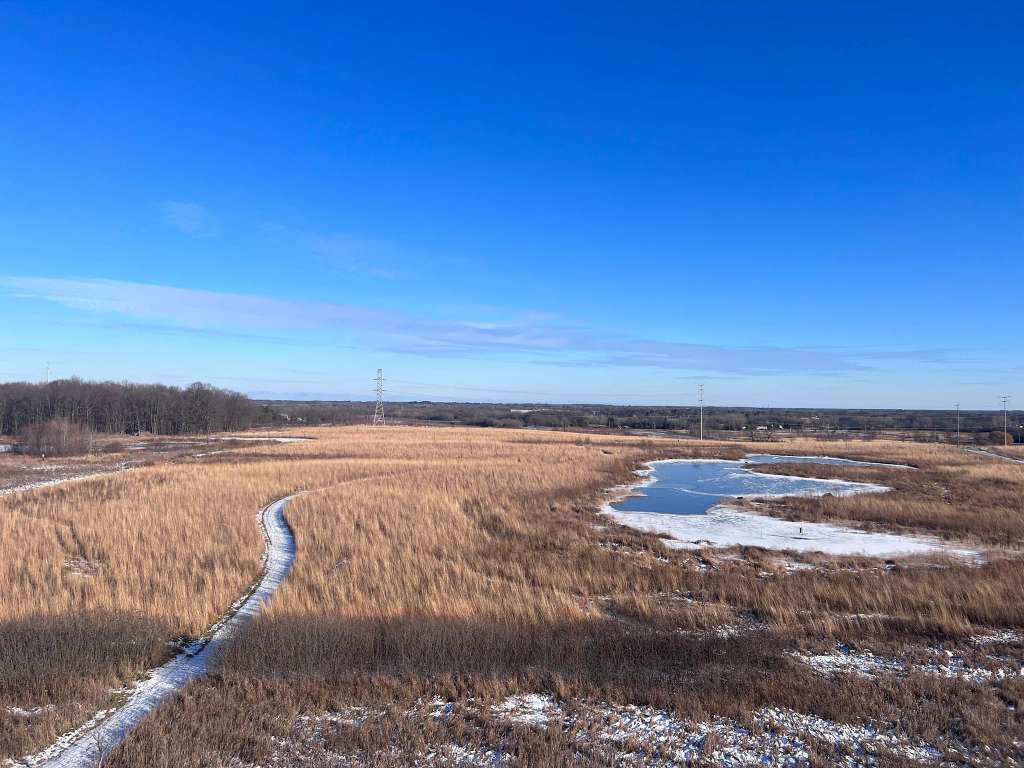 Mequon Nature Preserve Observation Tower