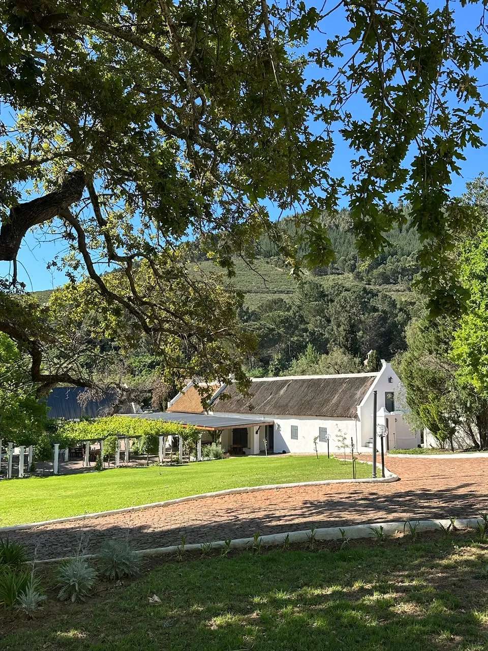 Morgenhof Wine Estate