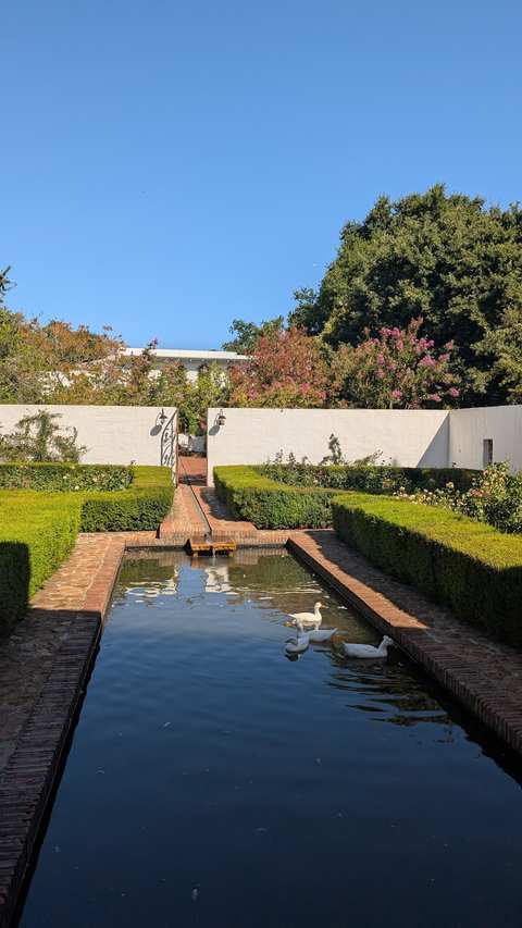 Kleinood — photo 3