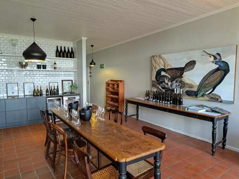 Reyneke Wines — photo 3