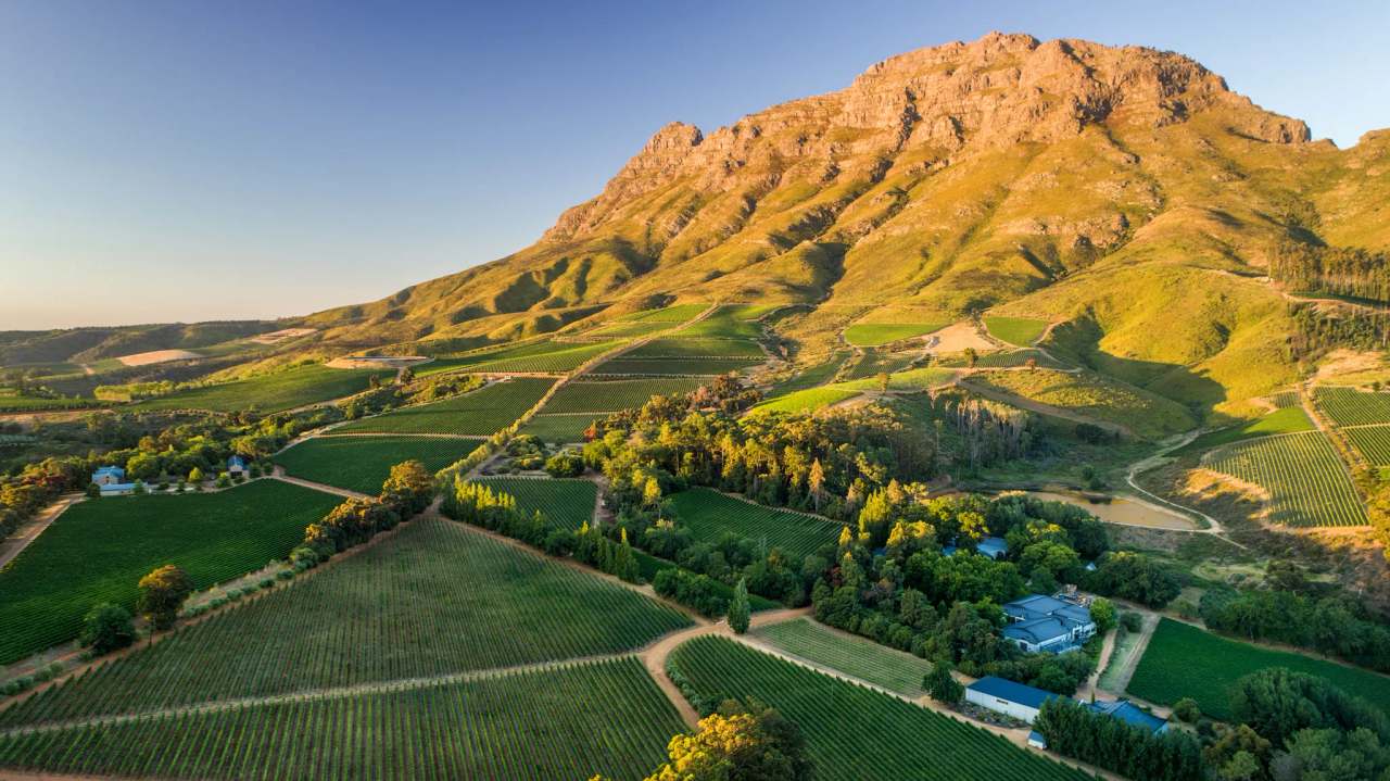 Thelema Mountain Vineyards — photo 1