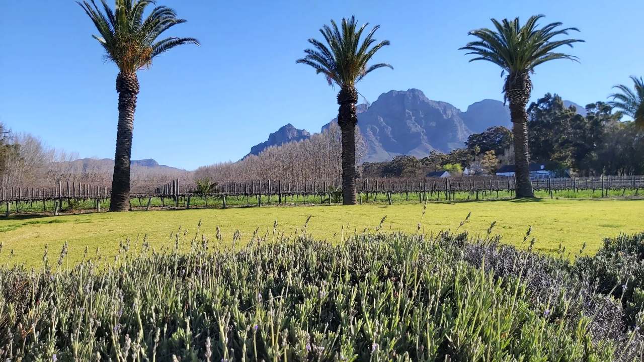 Allée Bleue Wine Estate — photo 3