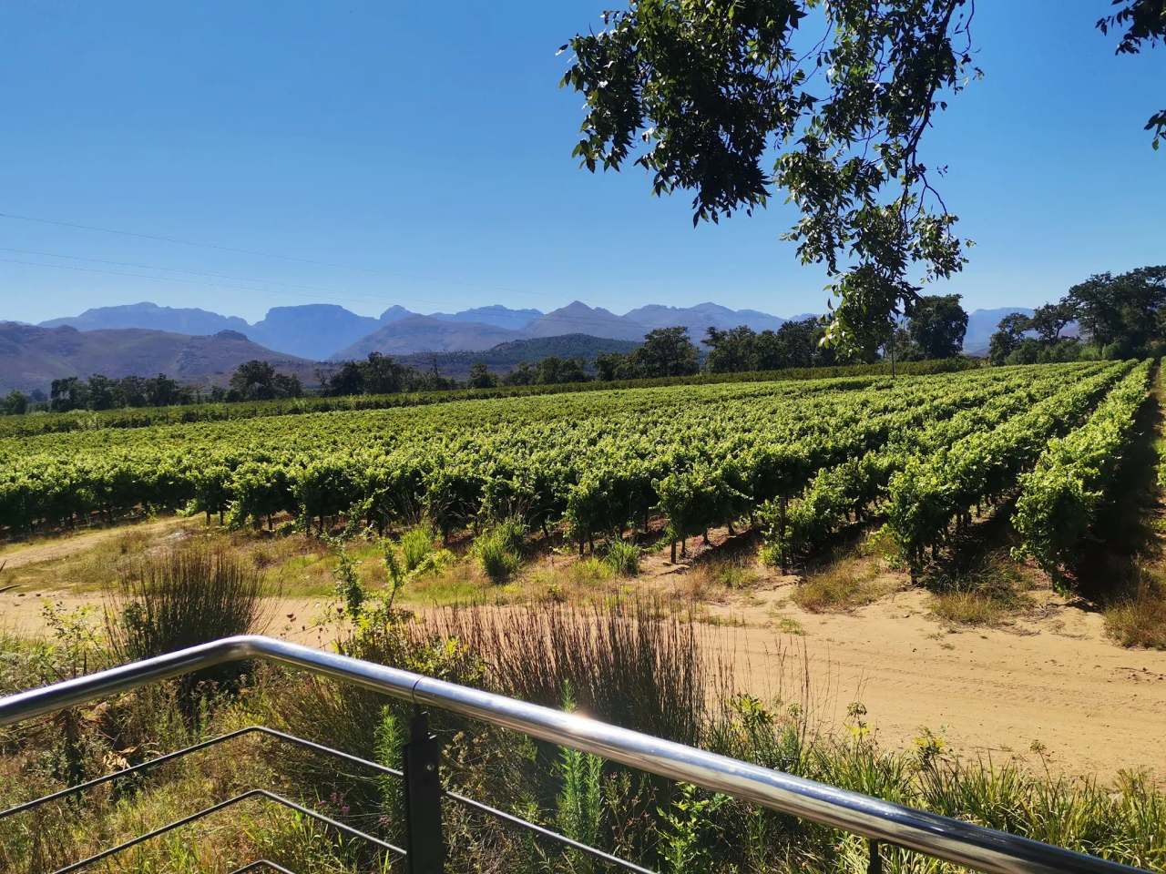 Allée Bleue Wine Estate — photo 1