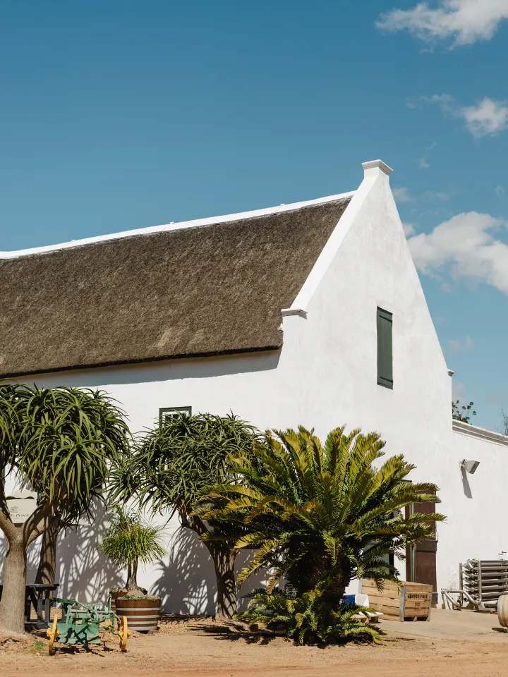 Groote Post Vineyards — photo 1