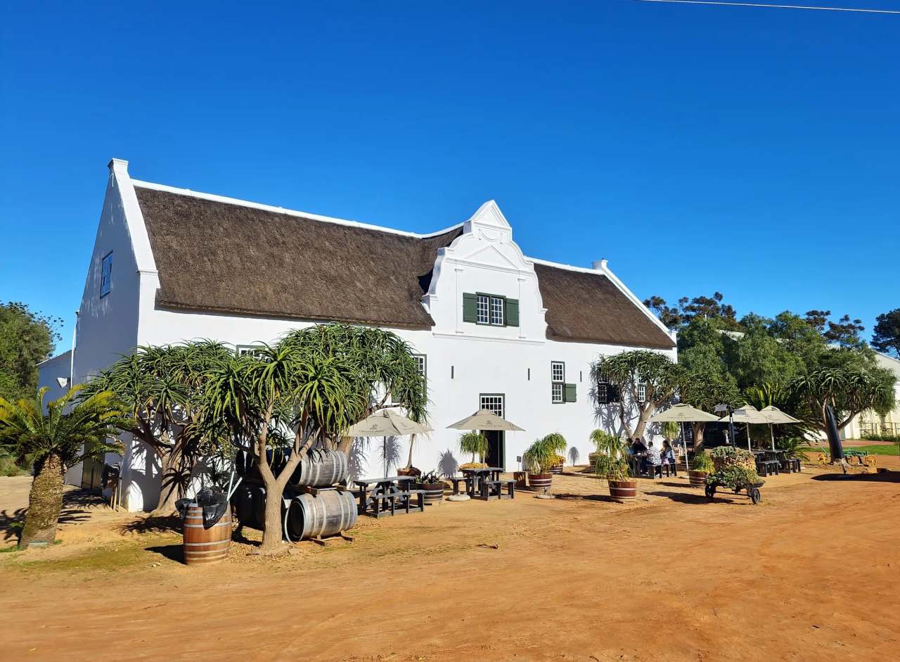 Groote Post Vineyards — photo 2