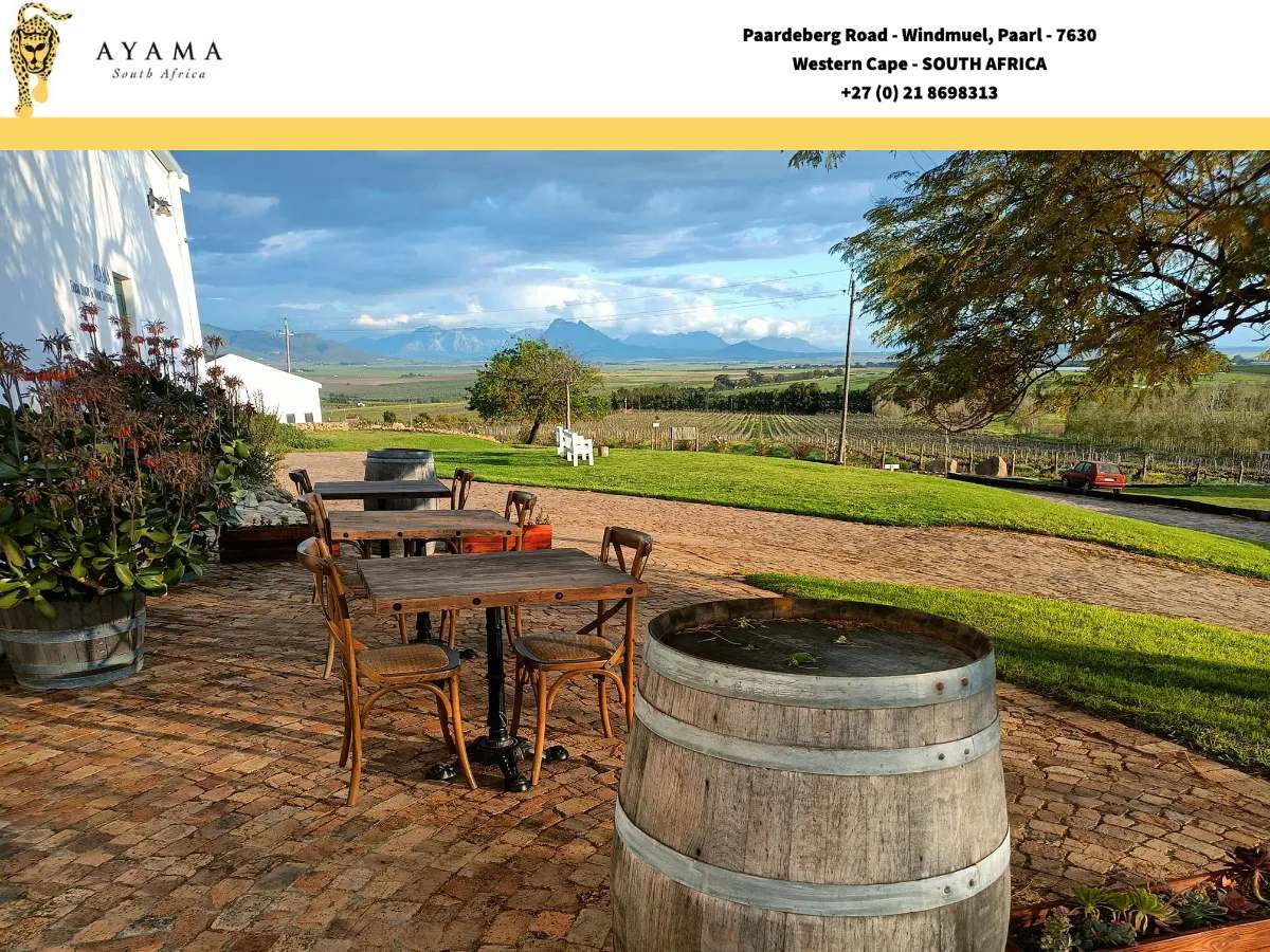 Ayama Wines — photo 3