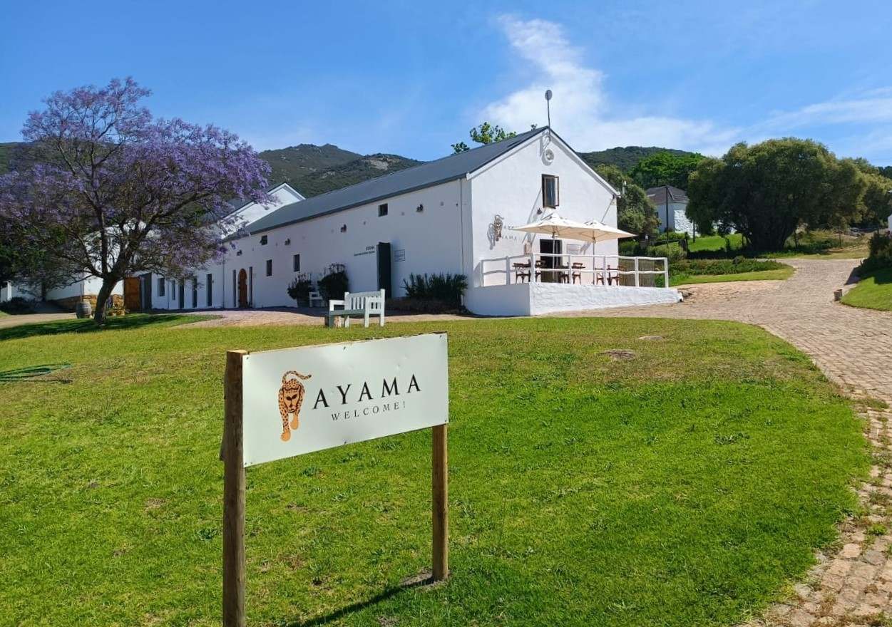 Ayama Wines — photo 1