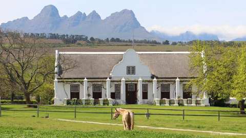 Meerlust Wine Estate — photo 2