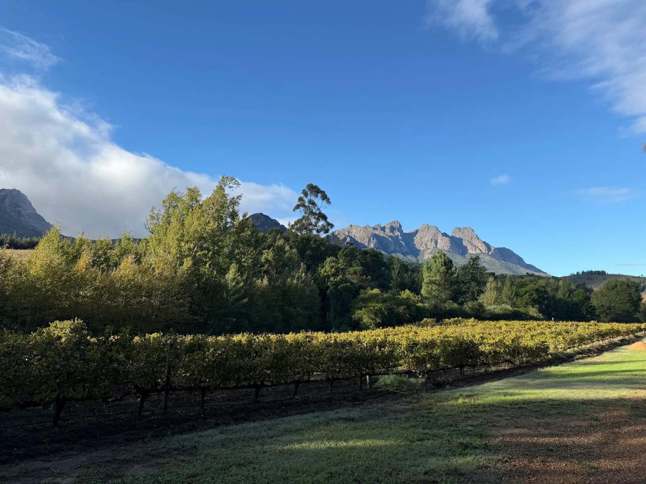 Doolhof Wine Estate — photo 1