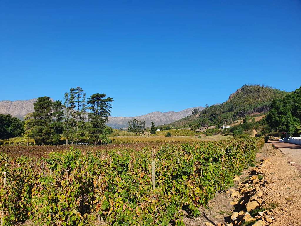 STELLENBOSCH WINE ROUTES