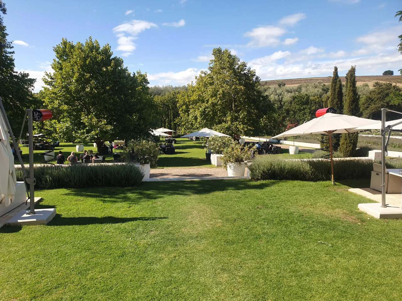 Peter Falke Wines — photo 3