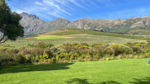 Oldenburg Vineyards — photo 3