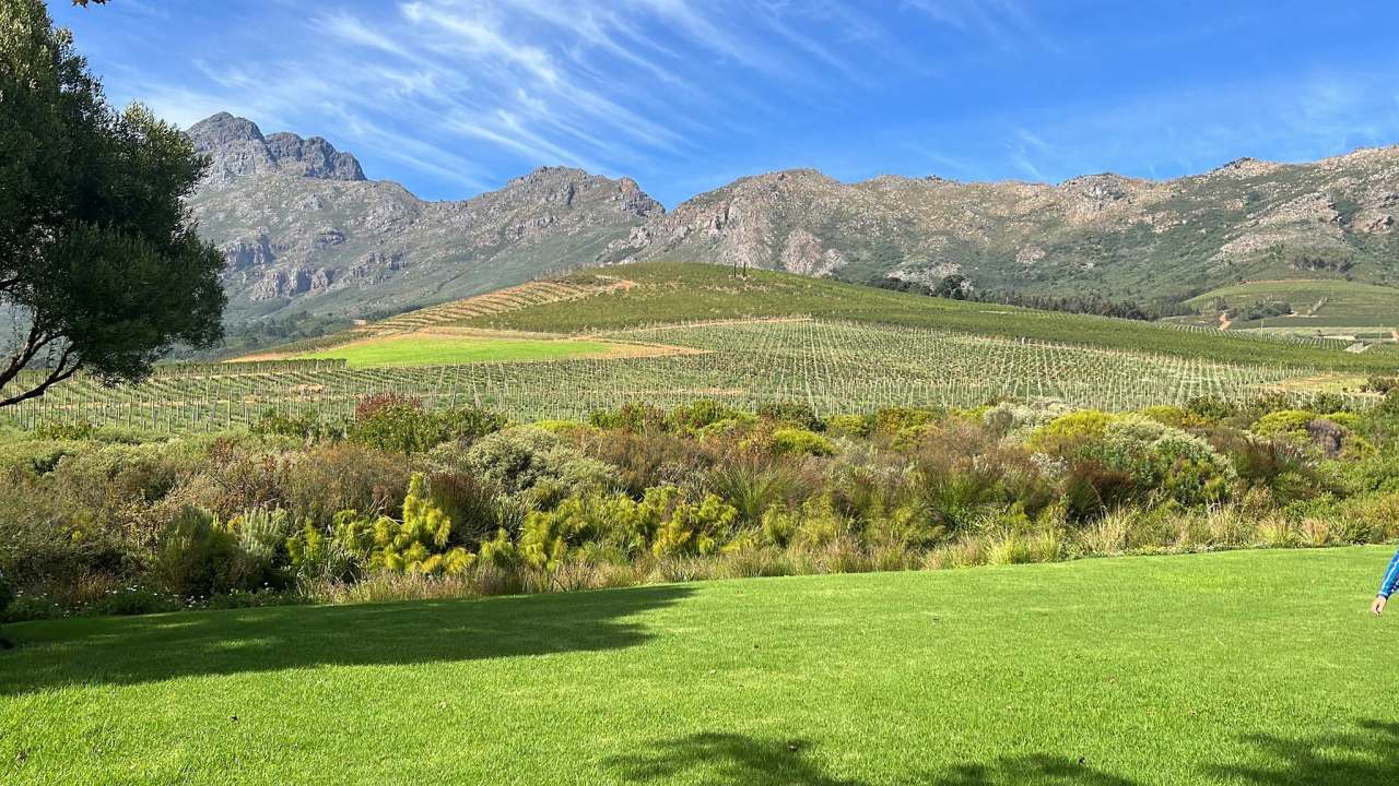 Oldenburg Vineyards — photo 3