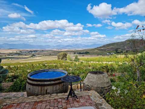 AA Badenhorst Family Wines | Kalmoesfontein — photo 3