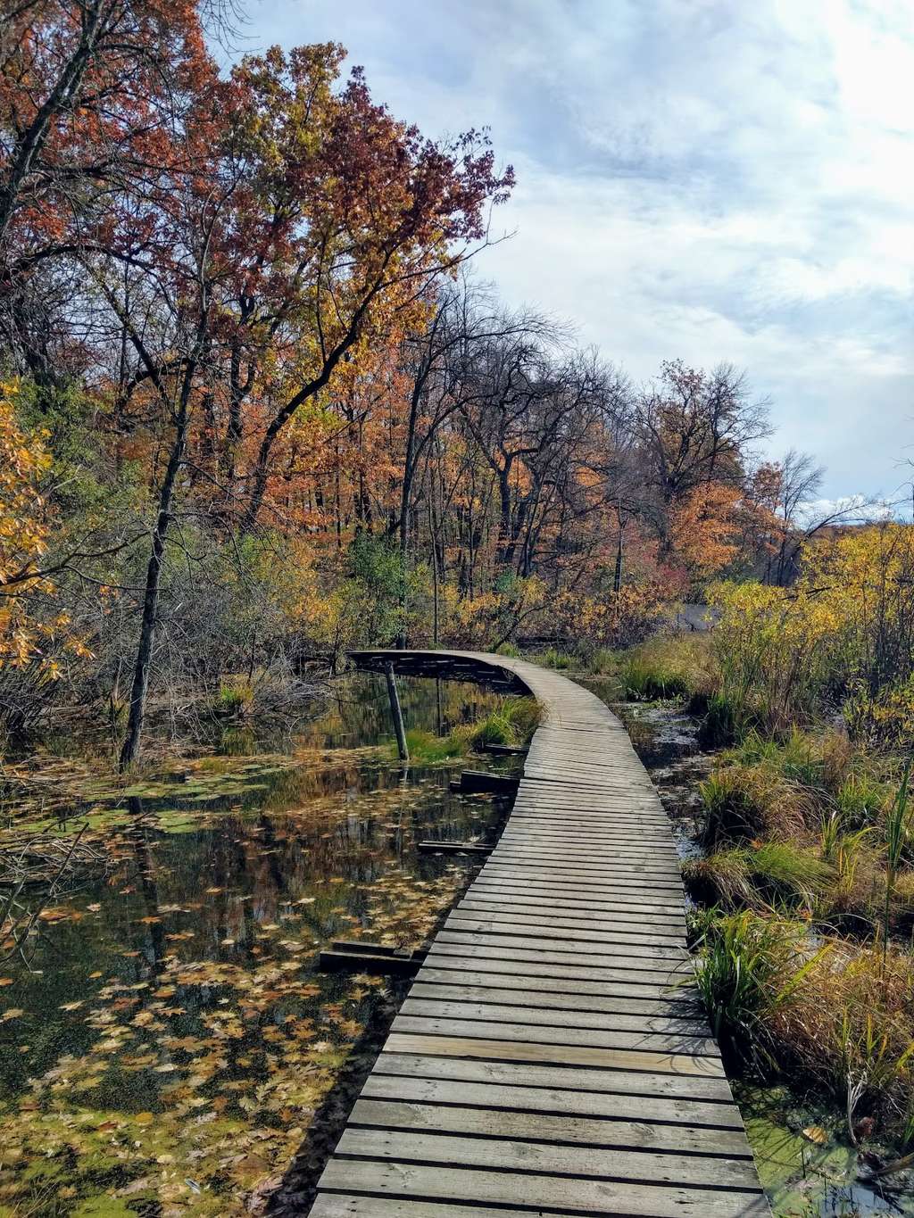 Ridge Run Park East