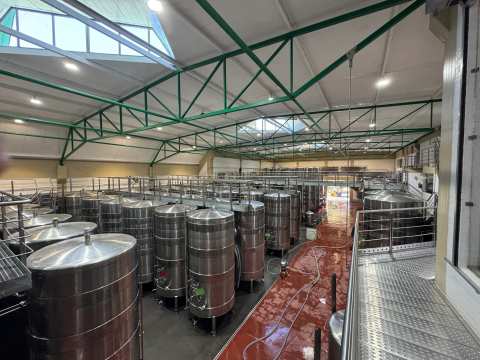 Klein Constantia Estate — photo 2