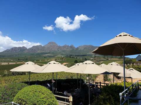 Guardian Peak Winery & Grill — photo 2