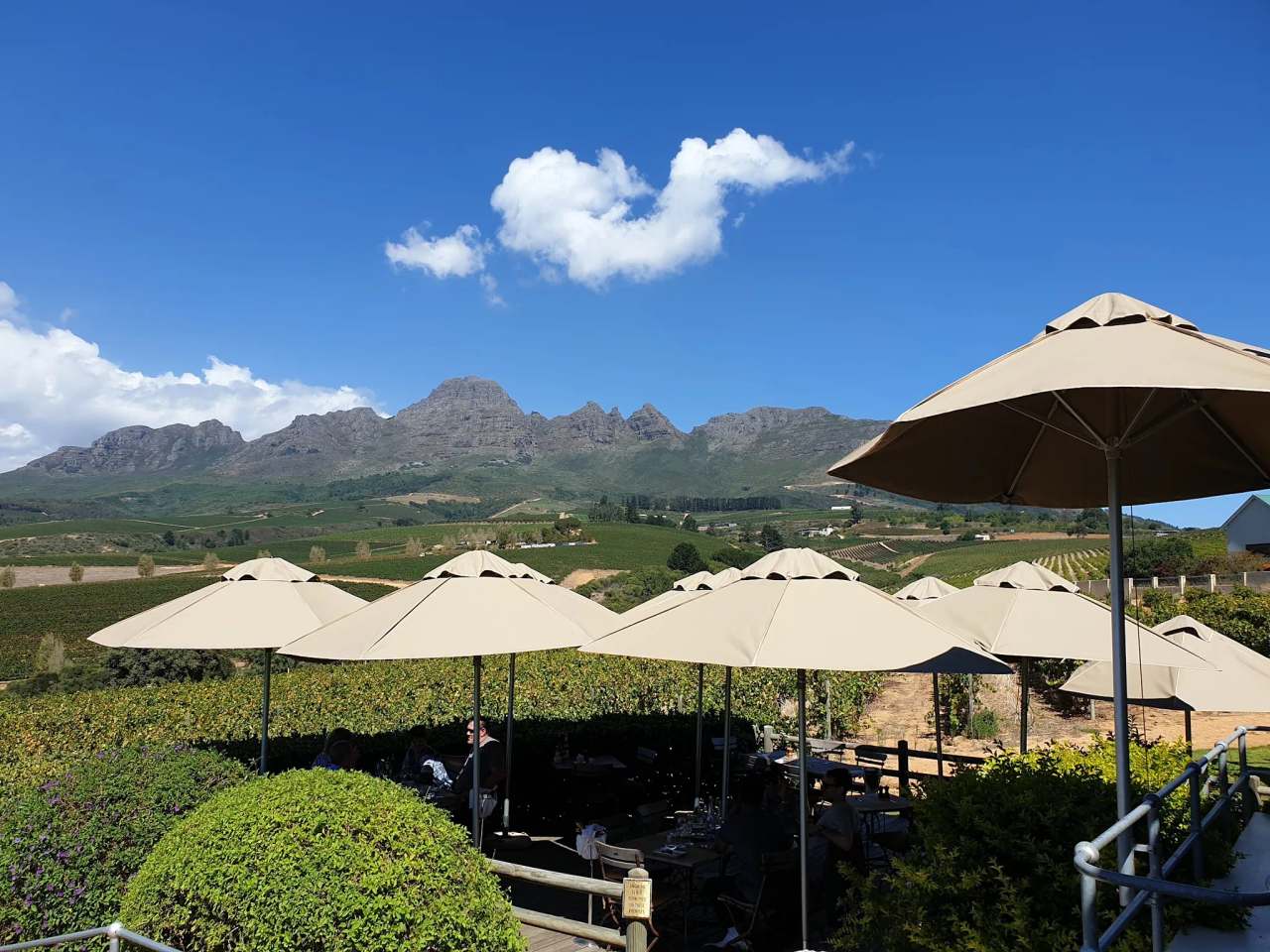 Guardian Peak Winery & Grill — photo 2