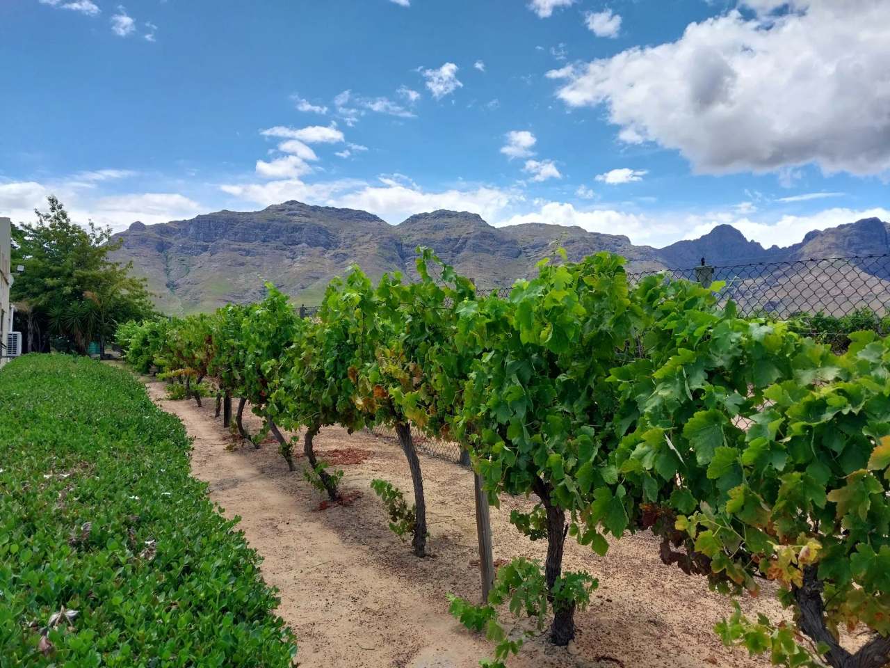 Stellenrust Wine Estate — photo 1