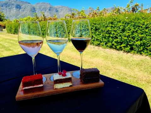 Stellenrust Wine Estate — photo 3