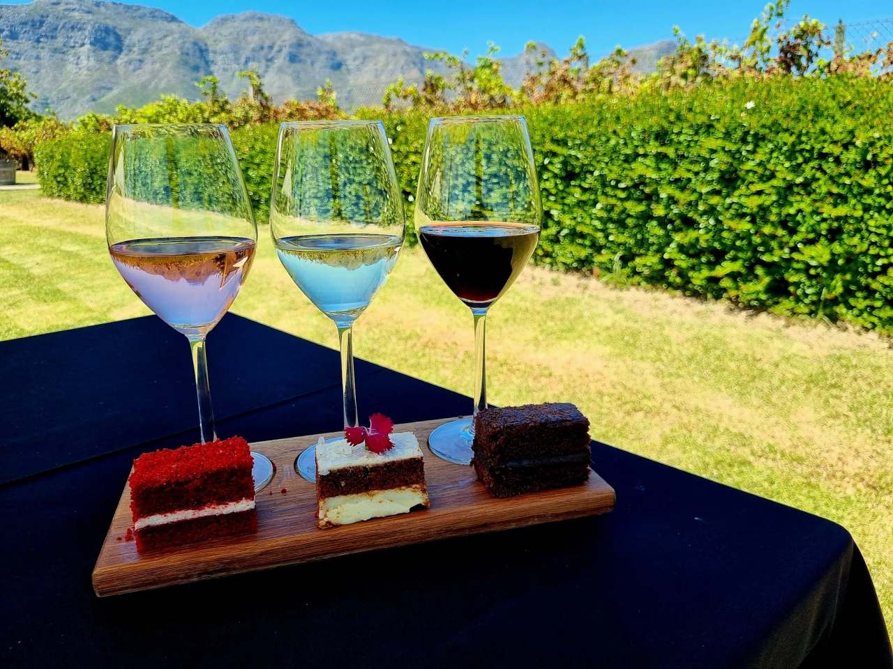 Stellenrust Wine Estate — photo 3