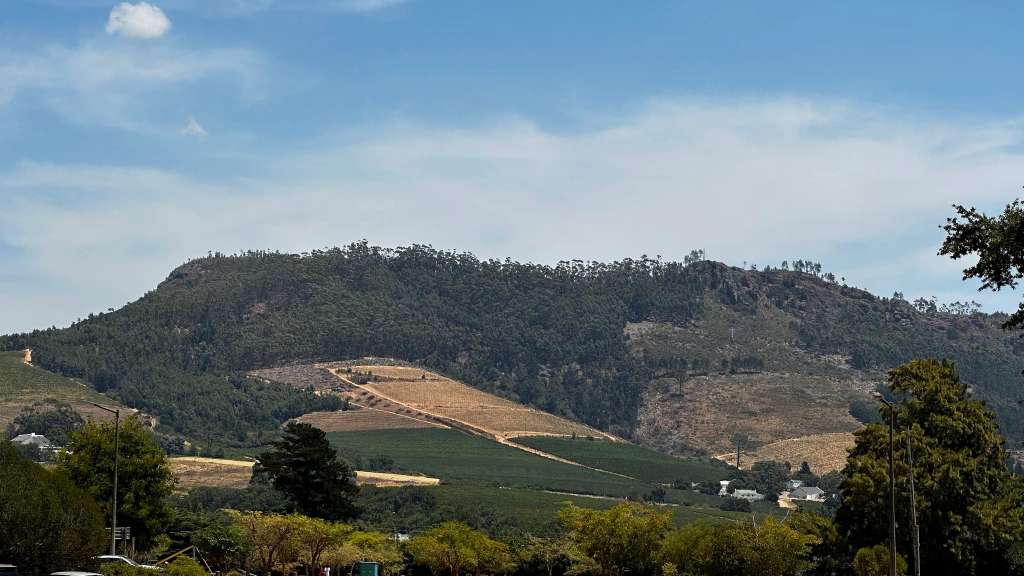 Cape Town Wine Tasting Tour