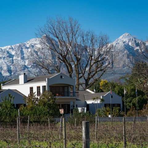 Bergsig Wine Estate — photo 2
