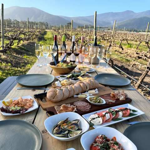 Bramon Wine Estate — photo 2