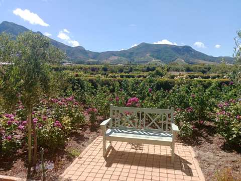 Constantia Uitsig Wine Estate — photo 3