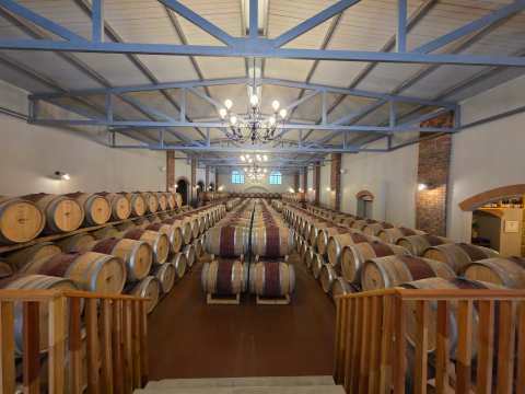 Kaapzicht Wine Estate — photo 2