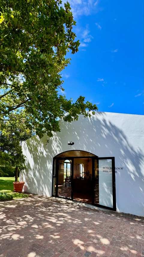 Boschkloof Wines — photo 3
