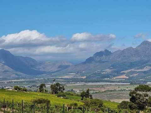 Boschkloof Wines — photo 2