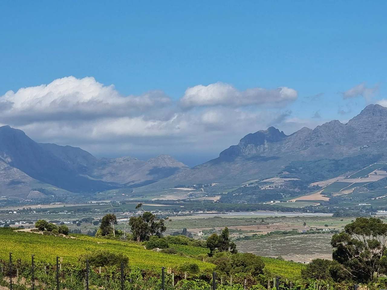 Boschkloof Wines — photo 2
