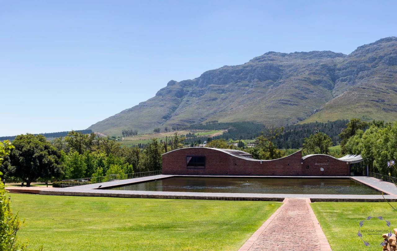Dornier Wine Estate — photo 2