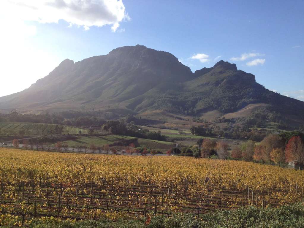 Camino Wine Tours