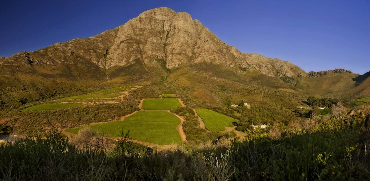 Keermont Vineyards — photo 3