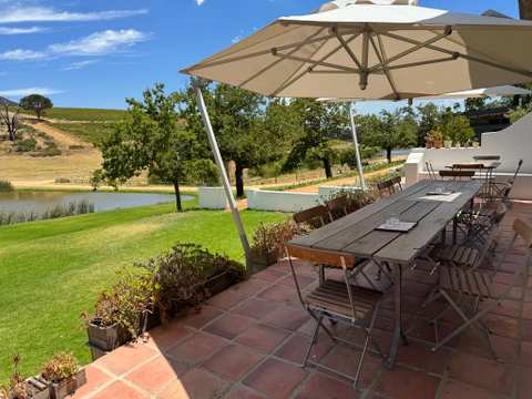 Lievland Vineyards — photo 3